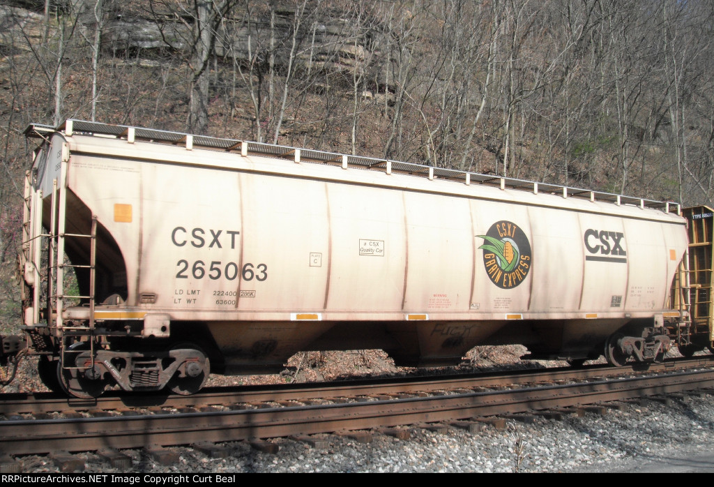 CSX 265063 